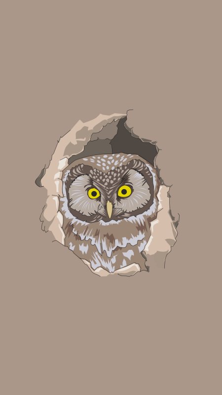 Сова Минимализм