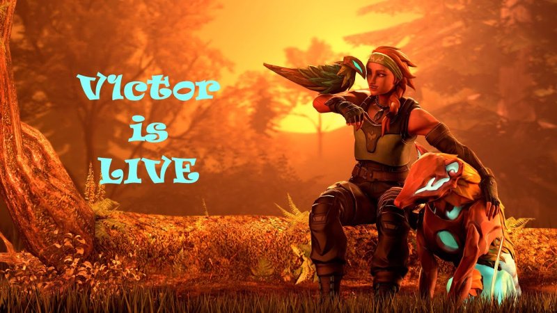 Скай персонаж валорант