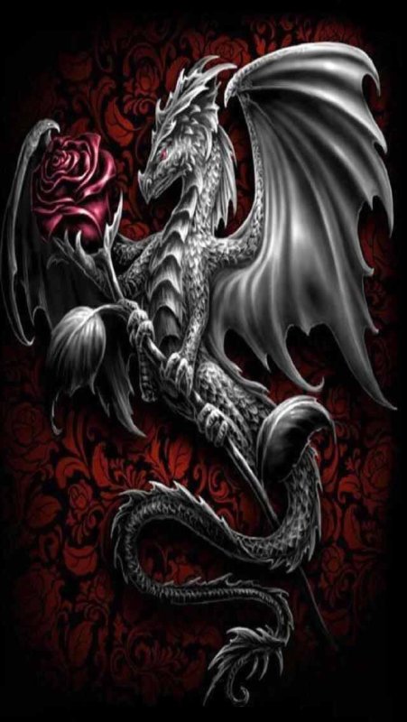 Черный дракон