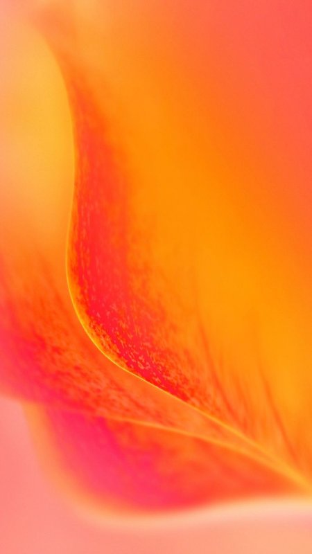 Красивый оранжевый