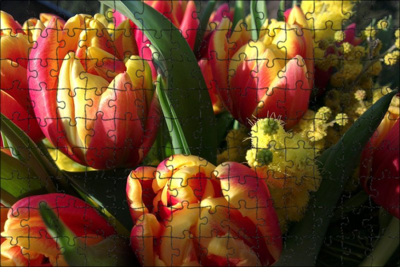 Тюльпаны с мимозой букет