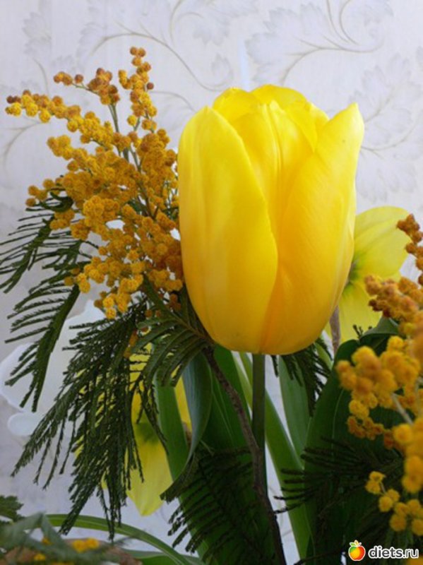 Тюльпаны с мимозой букет