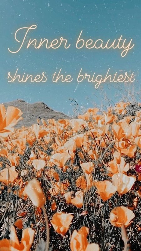 Эстетика высокого качества