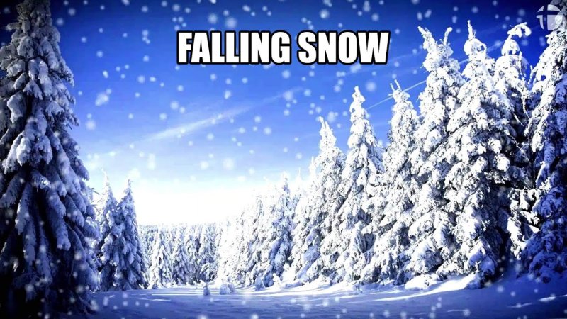 Сказочный зимний лес