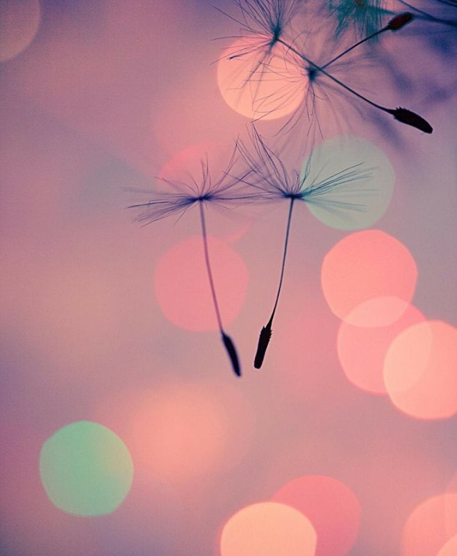 Нежные картинки со смыслом