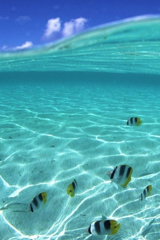 Прозрачное море