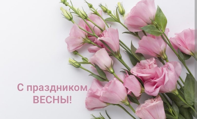 Эустома 1 ветка