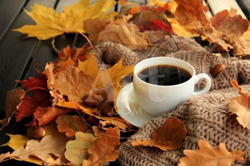 Осень кофе
