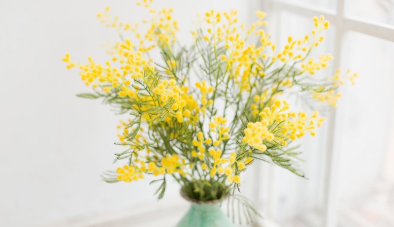 Мимоза и нарциссы