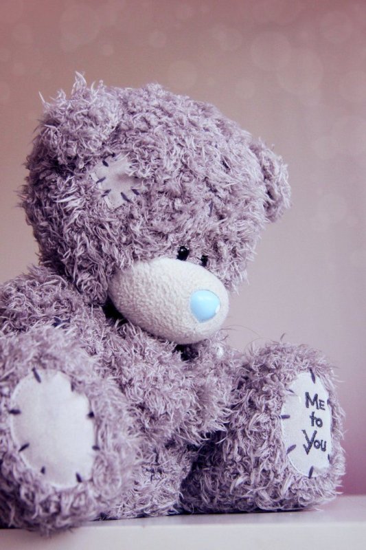 Красивые мишки