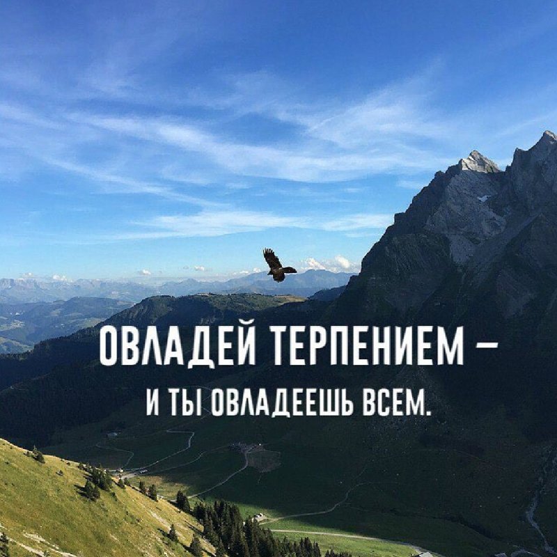 Терпение цитаты