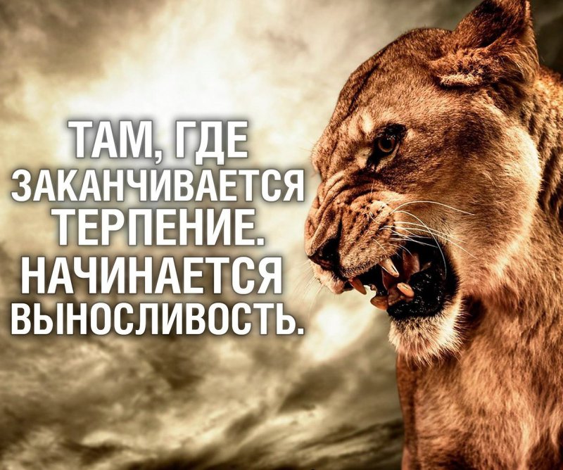 Терпение цитаты картинки