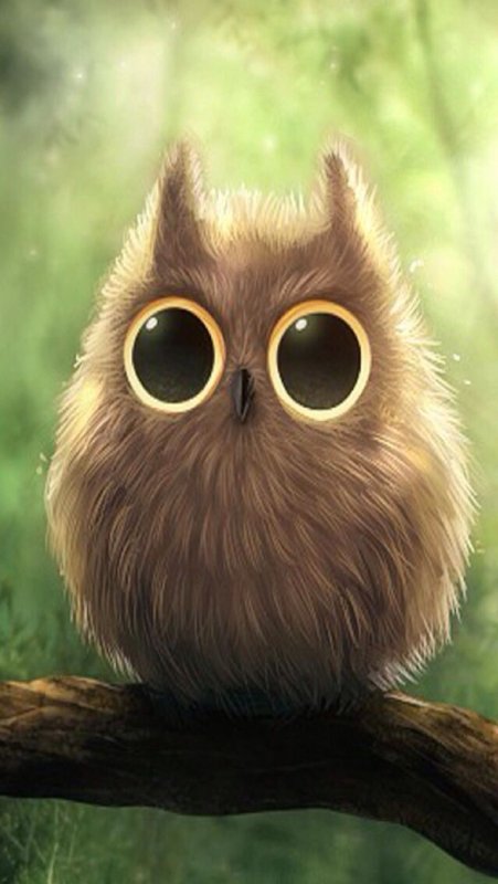 Совы мультяшные