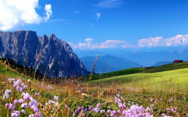 Альпийские Луга КЧР