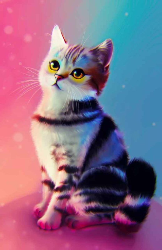 Разноцветные котята