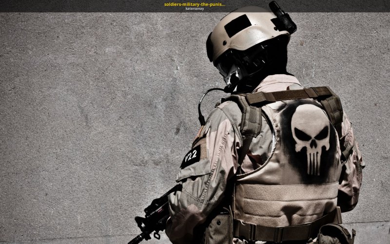 Каратель Navy Seals