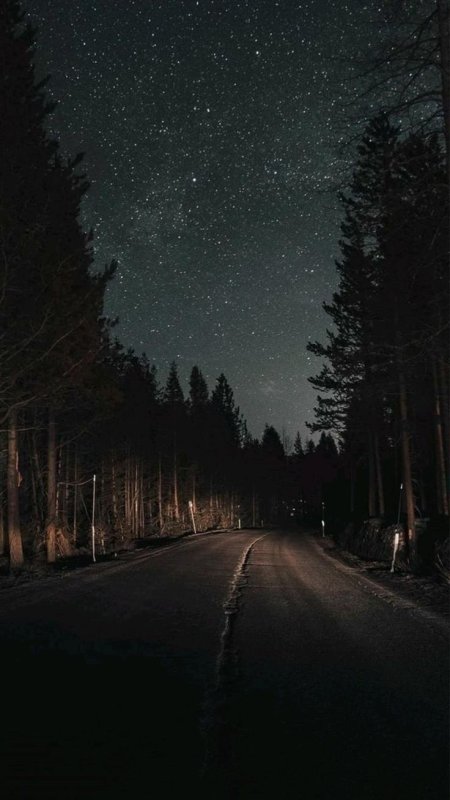 Ночная дорога