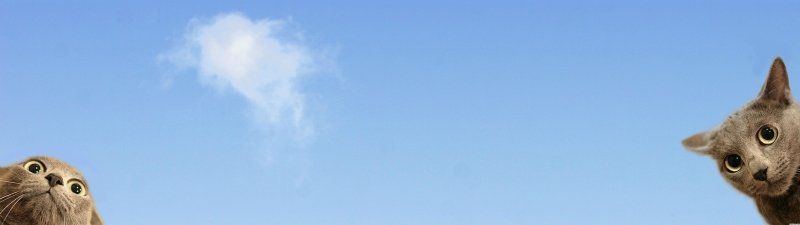 Заставка на 2 монитора