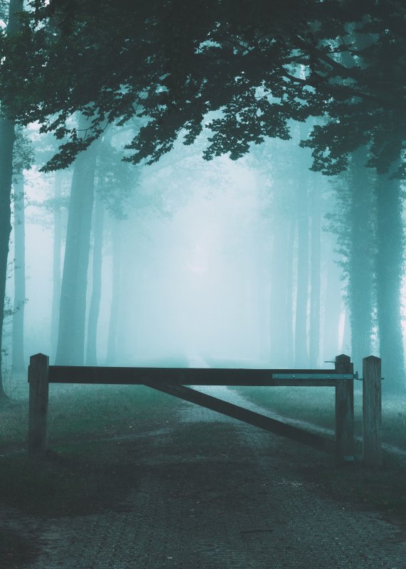 Атмосферная природа