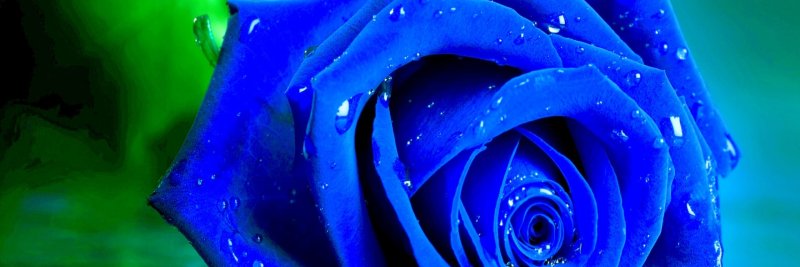 Красивый синий цвет