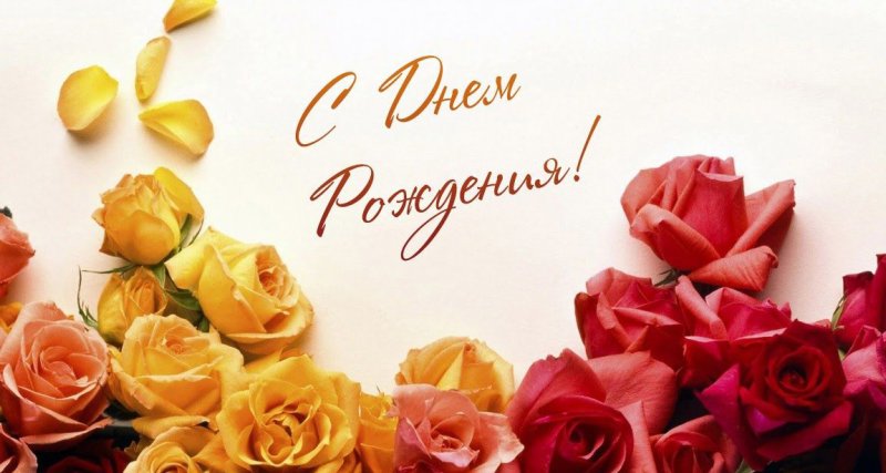 Фон цветы для поздравления