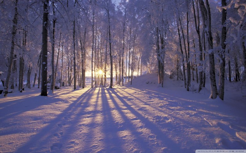 Красивая зима