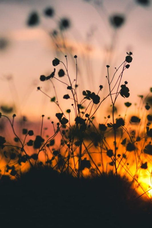 Атмосферный фон