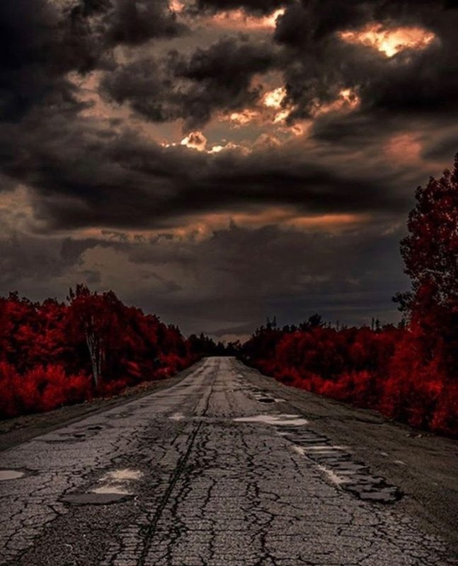 Темный пейзаж