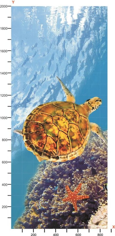 Морские обитатели