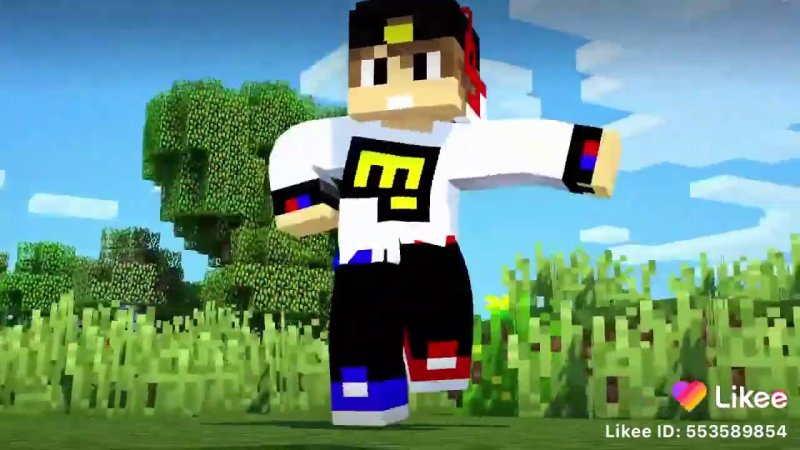 Евген бро МАЙНКРАФТЕР