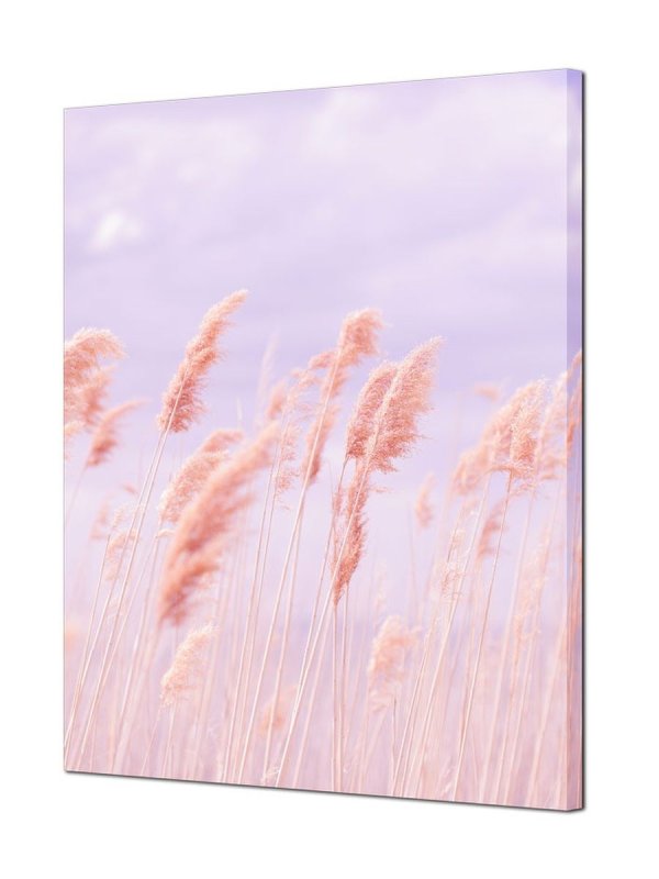 Цветы в пастельных тонах