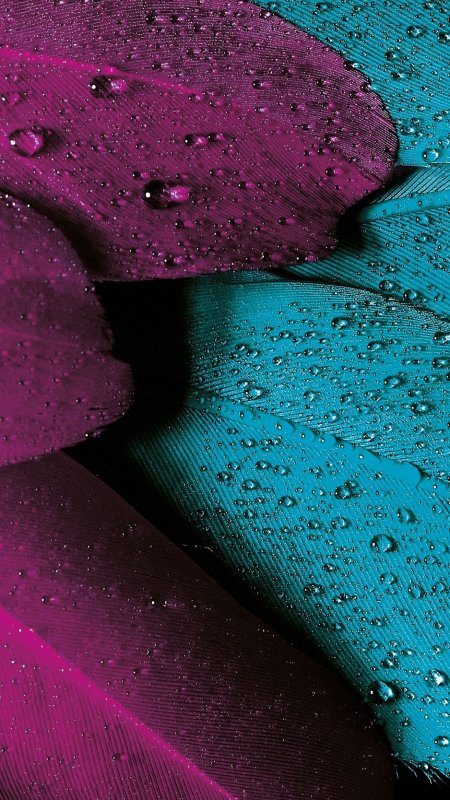 Фон на телефон красивые