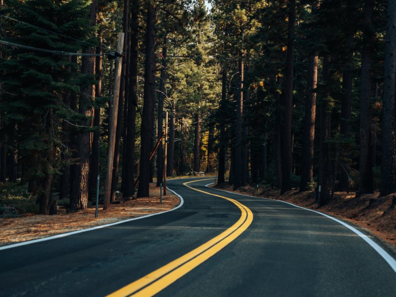 Лес с дорогой