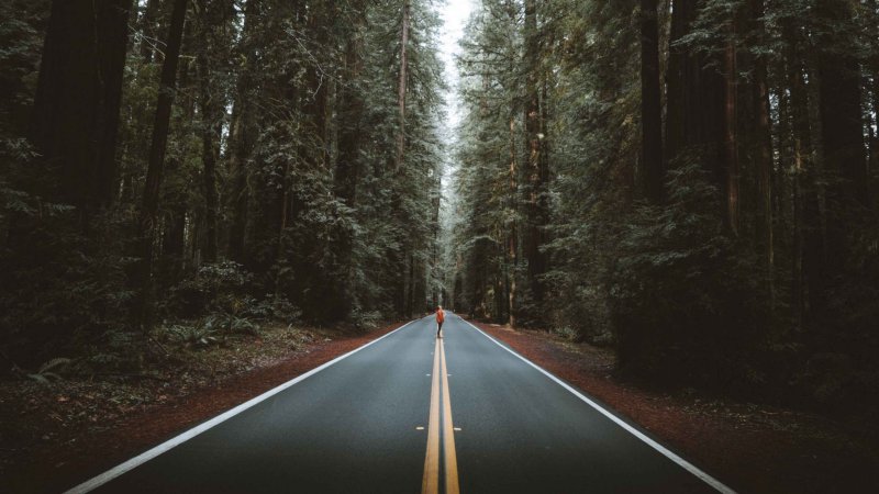 Лесная дорога