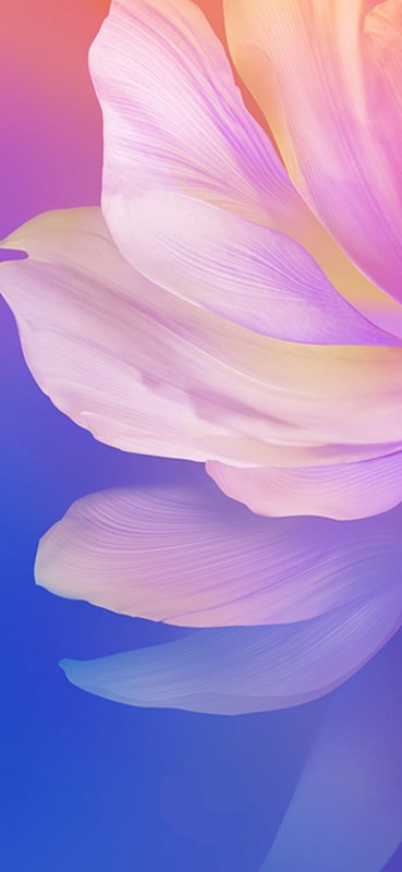 Заставка vivo