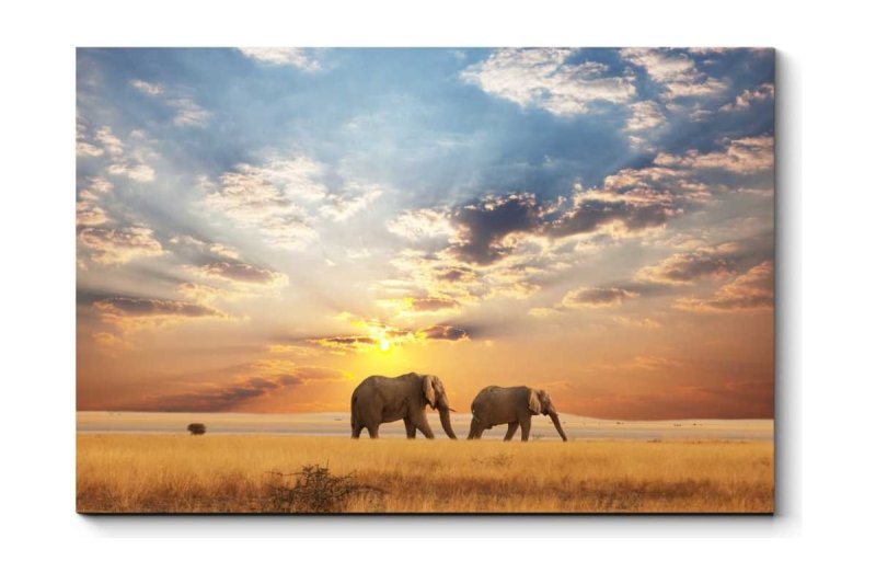 Кения Саванна