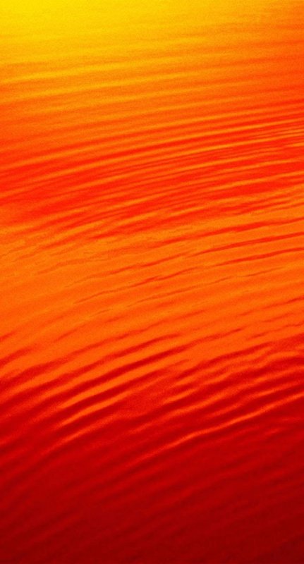 Оранжевые обои