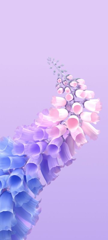 Оригинальные обои iphone