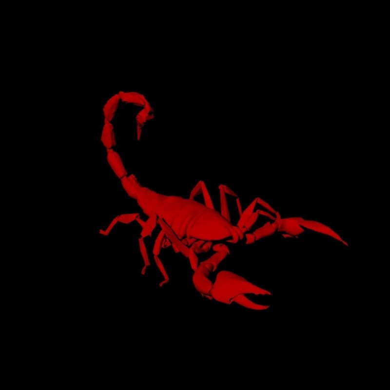 Скорпион на Красном фоне