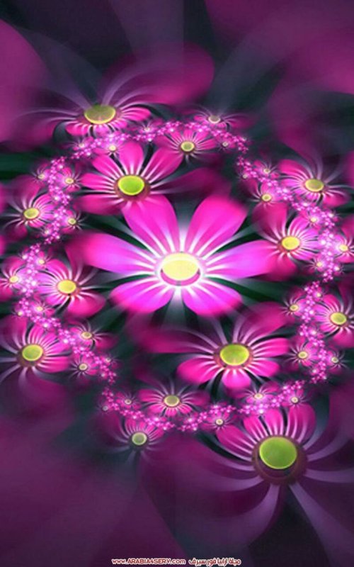 Красивые цветы