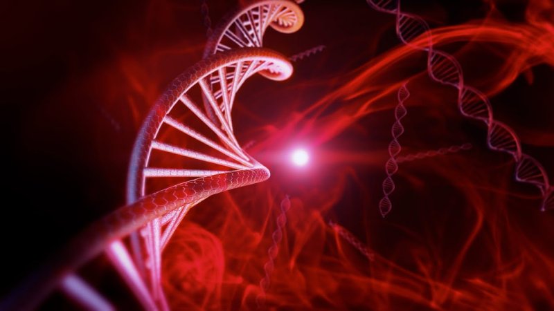 Спираль ДНК