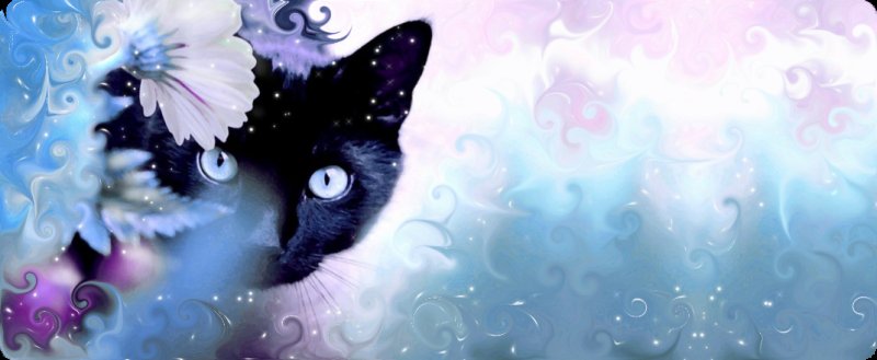 Красивые обложки для профиля