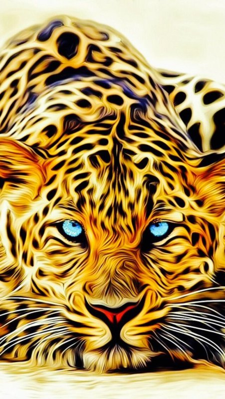 Заставки на телефон красивые