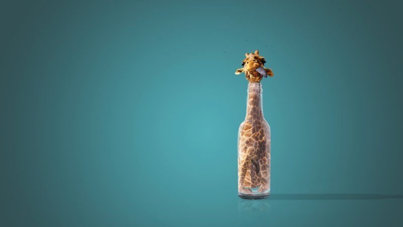 Фон на рабочий стол прикольные