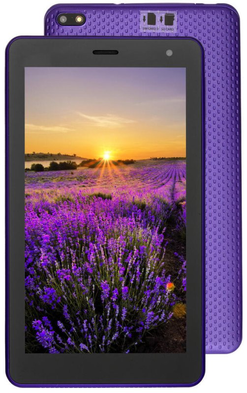 Лавандовое поле. Прованс