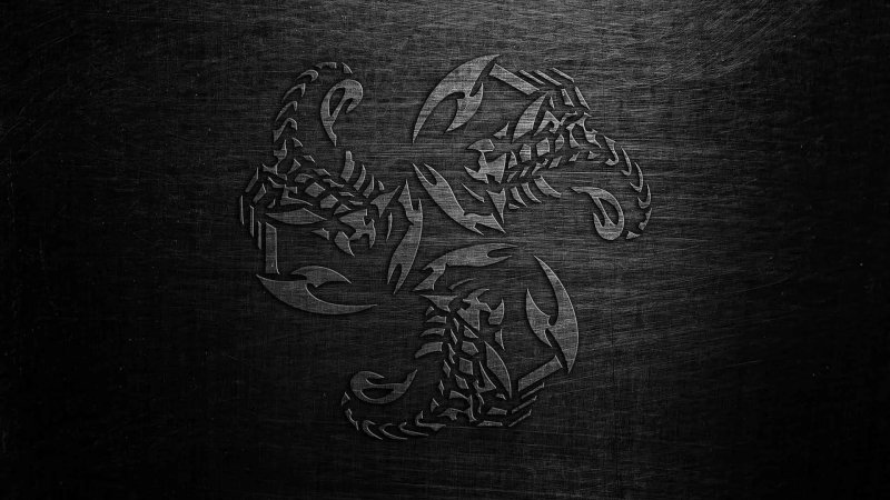 Обои на рабочий стол Скорпион