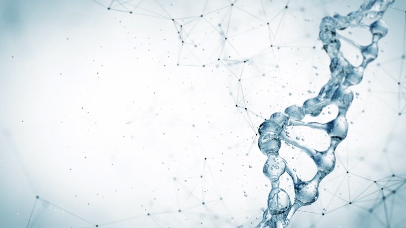 Обои для презентации по биологии