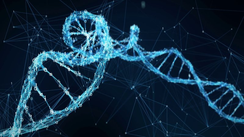 Нейробиология генетика