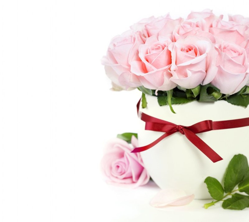 Поздравления с днём рождения подруге