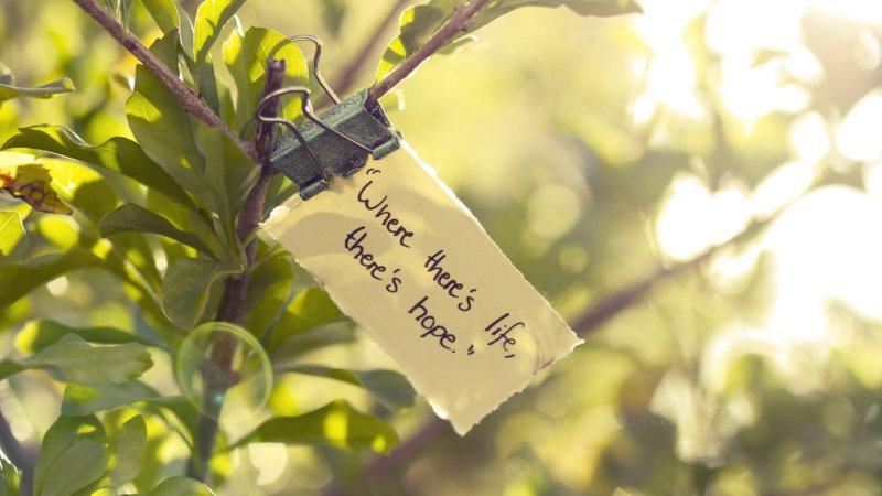 Картинки на рабочий стол